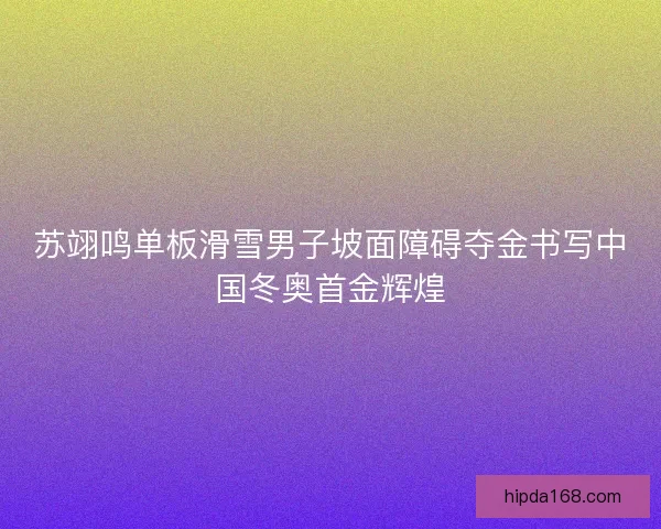 苏翊鸣单板滑雪男子坡面障碍夺金书写中国冬奥首金辉煌