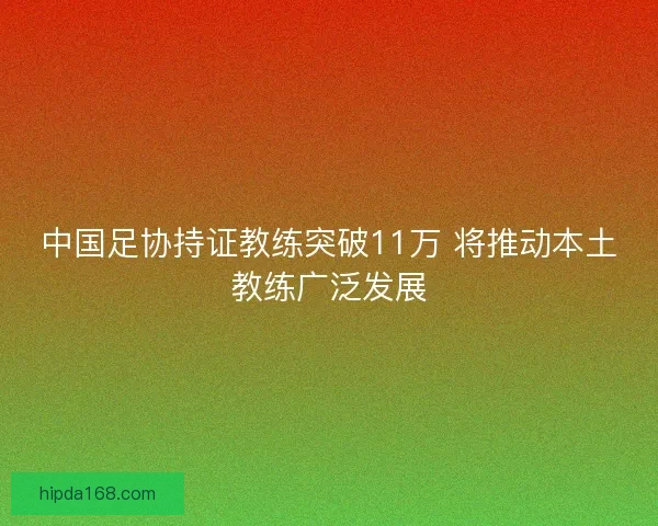 中国足协持证教练突破11万 将推动本土教练广泛发展